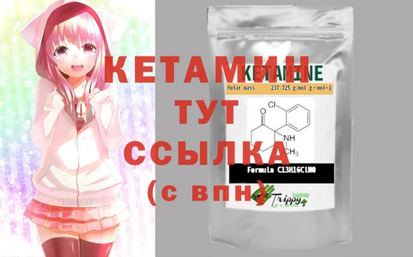 шишки Лабытнанги