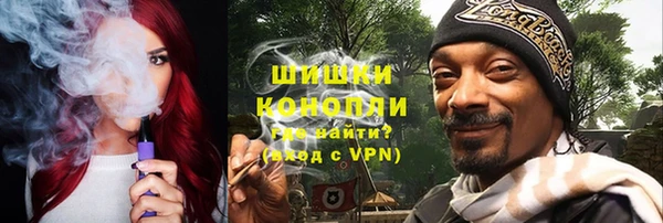 бошки Инта