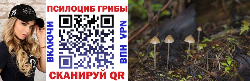 Псилоцибиновые грибы GOLDEN TEACHER Краснознаменск