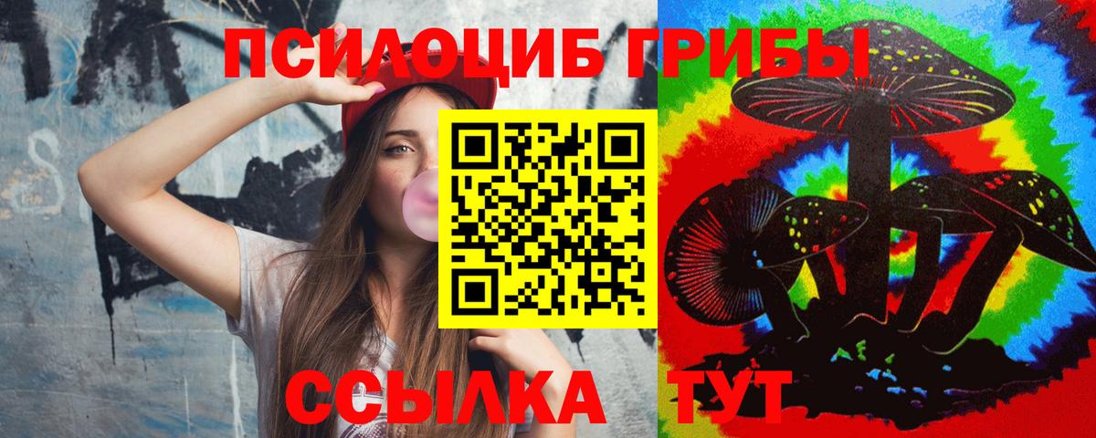 Галлюциногенные грибы GOLDEN TEACHER Краснознаменск
