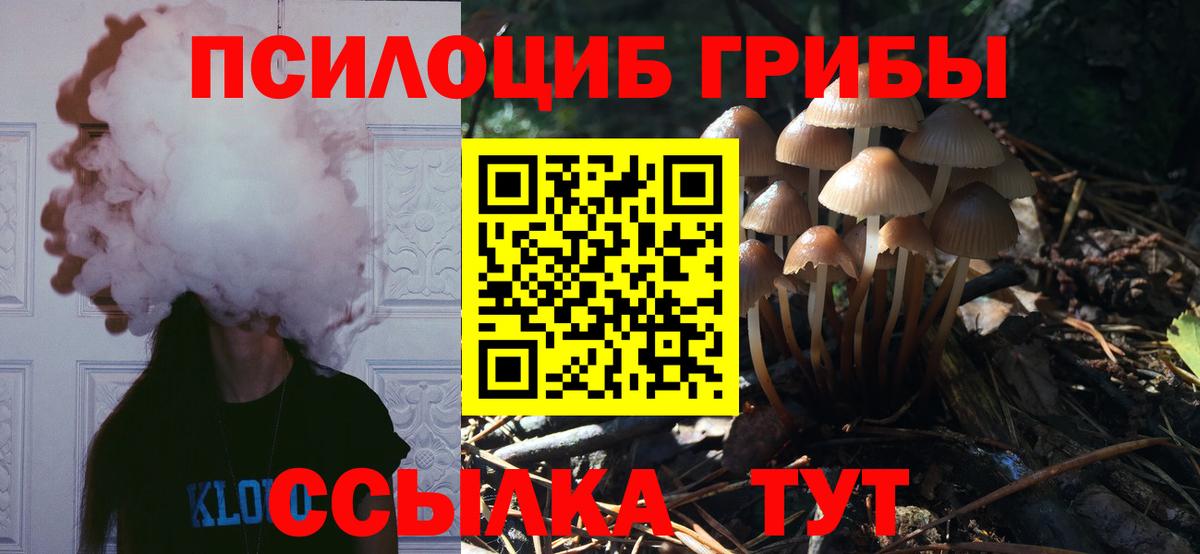 Галлюциногенные грибы Cubensis  Вход с VPN  Краснознаменск 